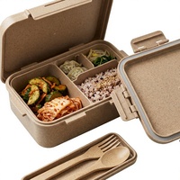 Boîte à lunch coréenne écologique, ensemble de boîtes à lunch en plastique, boîte à lunch bento avec poignée, couvercle en PP, 2 compartiments, boîte à lunch rectangulaire pour l'école, le bureau