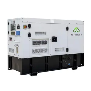 USA Canada 110V/220V Single Phase Electric Power Diesel Generators Prices With EPA
