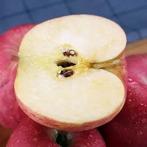 Çin'de taze elma üreticisi kırmızı Gala Fuji elma