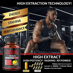 Cápsulas de Tribulus Terrestris y Maca en Oferta, Cápsulas de Tribulus para Aumentar la Energía y la Resistencia, Extracto de Tribulus Terrestris en Cápsulas - Product Image 6