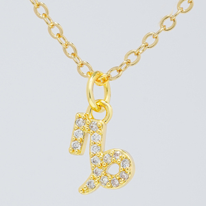 12 segni zodiacali collana con ciondolo collana con zirconi in ottone personalizzazione della collana di costellazione cz - Product Image 5