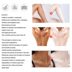 Usine OEM Peau foncée Organique Corps et Visage Éclaircissement Permanent Blanchiment Éclaircissant Blanchiment Hydratant Sérum à l'Arbutine - Product Image 5