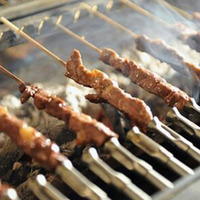 Brochettes de bambou automatiques en acier inoxydable Barbecue à charbon de bois Gril rotatif automatique
