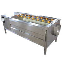 304 roestvrijstalen voedselveilige machine voor het wassen en schillen van groenten en fruit met motor, capaciteit 50-2000 kg/uur