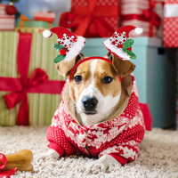 Serre-tête de Noël Pawsun pour animaux de compagnie, motif flocon de neige en feutre, style dessin animé, pour chats et chiens, décorations de fête de fin d'année