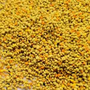<span class=keywords><strong>Pollen</strong></span> <span class=keywords><strong>d</strong></span>'<span class=keywords><strong>abeille</strong></span> BAIFENG 100% biologique de haute qualité, granulés naturels purs, matière première brute, <span class=keywords><strong>pollen</strong></span> de miel frais, nouveau, Henan, Chine - Product Image 2