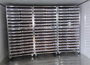 Mesin Pengering Cengkeh Pompa Panas Merek Hello River untuk Pengolahan Pertanian Hemat Energi untuk Kapulaga, Kayu Manis, Tongkat Ali, dan Herbal - Product Image 5