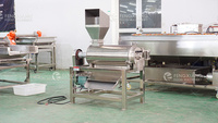 Fengxiang Commerciële Fruit Extractor Granaatappel Pulping Machine Passie Vruchtensap Machine