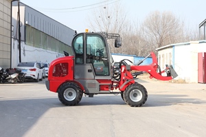 Schneller Versand CE OEM 1000kg Traglast Kompakter Mini-Teleskop-Radlader mit Euro5-Motor - Product Image 3