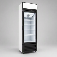 Vitrines réfrigérées commerciales pour boissons, à contrôle manuel de la température, économie d'énergie, portes simple/double/triple
