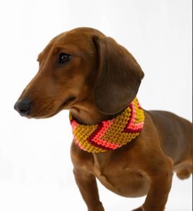 Kalung Anjing Kucing Martingale Mewah Custom <span class=keywords><strong>2026</strong></span> Gaya Baru 550 Warna-warni Paracord Pita Bergaya Lampu Pola Bergaris Tahan Lama - Product Image 3