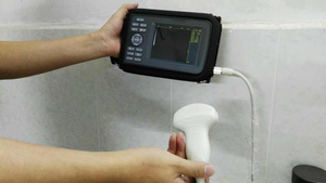 Ecógrafo Veterinario Portátil para Detección de Gestación en Ganado Vacuno, Porcino y Ovino, Dispositivo de Diagnóstico para Granjas - Product Image 5