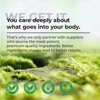 Gélules de spiruline et de chlorelle naturelles en marque blanche OEM pour soutenir les niveaux d'énergie, la fonction immunitaire et la santé digestive