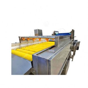 Ligne de production de Machine de découpe de séchage de lavage de fruits entièrement automatique professionnelle épluchage et laveuse de légumes - Product Image 1