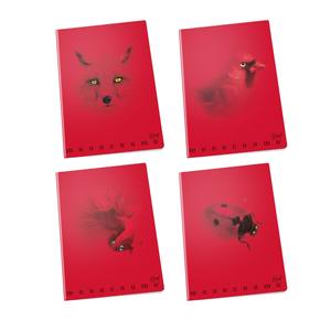 Quaderno Monocromatico PIGNA-MAXI Rosso, 38 Fogli A4, Righe Assortite Stampate, Prodotto in Italia - Product Image 1