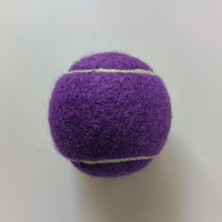 Balles de tennis colorées d'entraînement avancé de haute qualité avec sac en maille balles de pratique sportive jouant aux balles de tennis