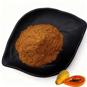 ผงเมล็ดมะละกอธรรมชาติสกัดจากสมุนไพรเกรดอาหารที่ดีที่สุด - Product Image 1