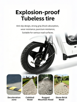 Bicicleta Eléctrica al por Mayor 2025 de 500W, 48V 12Ah, 14 Pulgadas con Enchufe Brasileño - Directo de Fábrica OEM/ODM para Importadores B2B