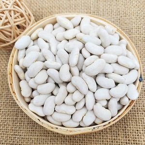 Экспортная белая фасоль, фасоль длинной формы по заводской цене - Product Image 2