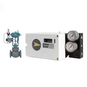 Original PMV D20 WIth WU ZHONG INSTRUMENT - Product Image 3