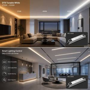 Variateur DALI PE-IL60DV24 <span class=keywords><strong>CV</strong></span> 60W IP42, pilote LED dimmable DALI pour bandes LED, système de contrôle d'éclairage sans scintillement - Product Image 3