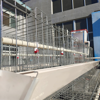 Cage de ponte automatique galvanisée de type A Nouveau poulailler en maille d'acier pour les cages d'élevage de volailles