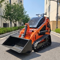 Livraison Gratuite Chargeuse Compacte sur Chenilles Euro 5 Diesel EPA Prix Compétitif avec Broyeur Forestier et Tondeuse à Gazon