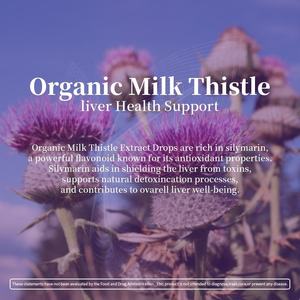 Gotas de Semilla de Cardo Mariano Orgánico, Extracto Líquido de Silimarina de Alta Potencia, Fórmula Vegana para la Desintoxicación del Hígado con Gotero para Uso Diario - Product Image 5