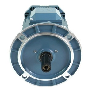 มอเตอร์อะซิงโครนัสสามเฟส M3AA100LF4 3kW 1452RPM 230/400V IMB5 IP55 - Product Image 3