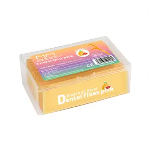 Wholesale fruit flavored dental floss Flossun Dental floss picks for Kids 30P designed Flosser Toothpick Pick Plastic with Case
