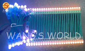 WS2811 1903 E27 Base Rgb String Licht DC5V Led Pixel Licht Voor Kerst Decoratie