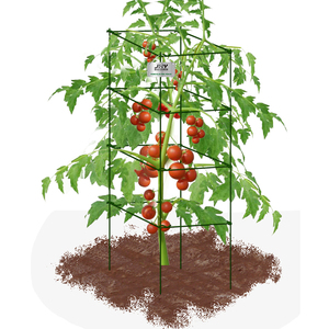 برج طماطم مربع أخضر بولي كلوريد الفينيل مغطى بالفولاذ اقفاص طماطم لتسلق الخضروات - Product Image 2