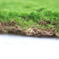 Mousse artificielle de haute qualité pour décoration de paysage