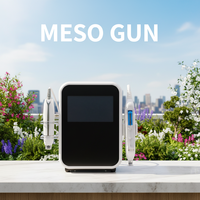 Appareil Visage Hello Face 2 en 1 Radiofréquence Indolore Anti Âge Méso Thérapie Machine Beauté Mesogun