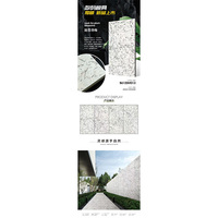 Carreaux de sol muraux extérieurs en porcelaine émaillée/céramique modernes de luxe antidérapants style classique pour chambres