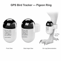 Traceur GPS pour pigeons USMILEPET, mini localisateur en temps réel, étanche, localisateur GPS pour oiseaux, autonomie de 30 jours, traceur d'oiseaux ultra léger