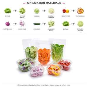 เครื่องล้างผักอัตโนมัติ 1-3 ตัน เครื่องหั่นและอบแห้งผักสำหรับโรงงาน - Product Image 5