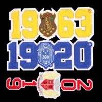 Personnalisé 11 "or joli caniche fer sur Chenille Patch 3D dentelle sororité lettres-Sigma Gamma Rho vêtements lettres de fraternité