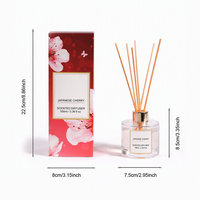 Diffuseur de parfum liquide écologique 100 ml pour la maison, longue durée, pour chambre, salle de bain, Noël
