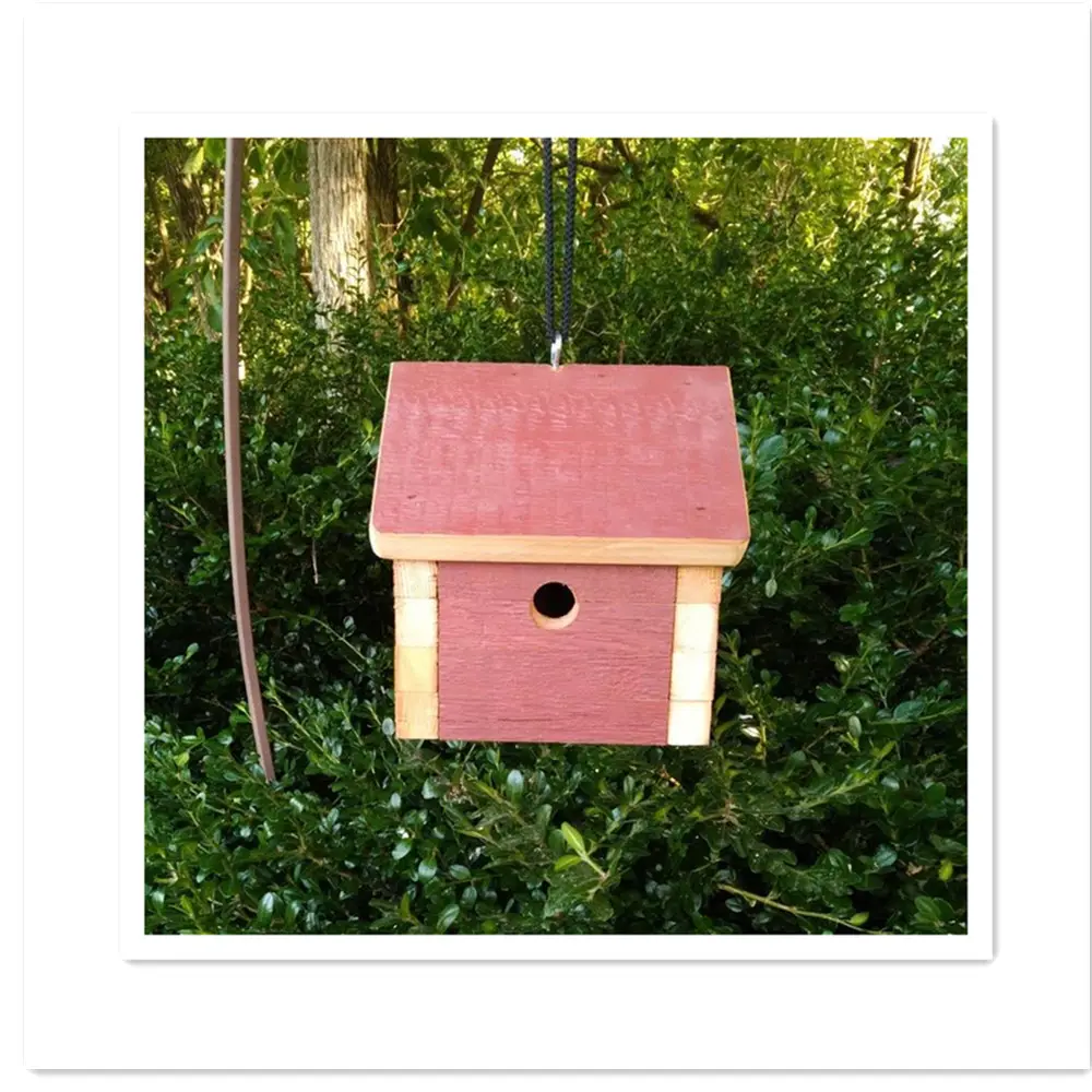 Лидер продаж на заказ, уличный деревянный птичий домик, Деревенский домик для птиц, Новый деревянный кедровый декоративный птичий домик, подвесное гнездо