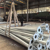 Poste de Luz Cónico de Acero Galvanizado en Caliente de Grado Industrial, 10m 11m 12m, para Proyectos de Iluminación Urbana y Pública