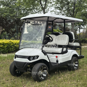 Carrito de Golf Eléctrico de 6 Plazas en Oferta, Pantalla Táctil, Luces LED, Diseño de Lujo, Alimentado por Litio, Homologado para Circular por la Calle - Product Image 5
