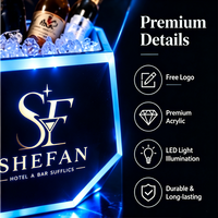 VipGeieium Nouveau Seau à Glace en Acrylique Personnalisé pour Bar et Club, Porte-Bouteilles de Bière, Seau à Champagne LED avec Lumière