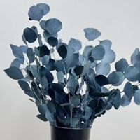 Pomme et eucalyptus séchés conservés naturellement, ronds, pour la décoration de la maison pour Thanksgiving ou la fête des mères