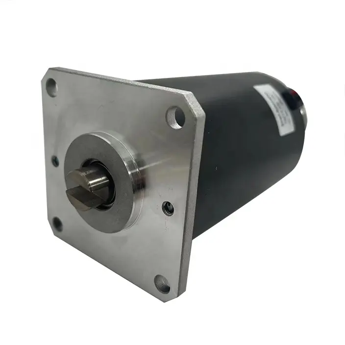 Customized Specification 12v 24v 36v 48v dc motors used for oil hydraulic pump winch hydraulic power units lift truck