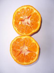 Fresco arancione frutta mandarino dalla fabbrica direttamente fornisce - Product Image 4