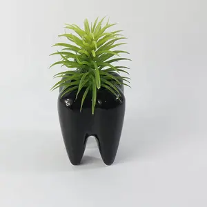 New Colorful Tooth Shaped Ceramic Vase Toothbrush Holder Ceramic Bonsai Pot Succulent Plant Pot Dentist Gift