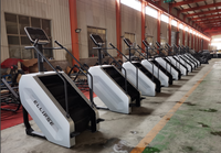 2026 Appareil de cardio-training de type simulateur d'escalier pour usage commercial DS-09 Fourniture d'usine chinoise