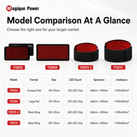 Tapis de luminothérapie rouge de qualité médicale Magique Power 360/240 LED 660nm 850nm, portable pour le corps et les pieds, usage domestique
