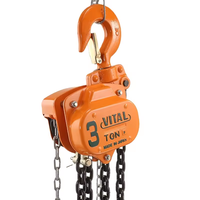 Promotion : Treuil à chaîne manuel VT 1 tonne, polyvalent et durable, pour travaux de construction (également disponible en 2 tonnes)
